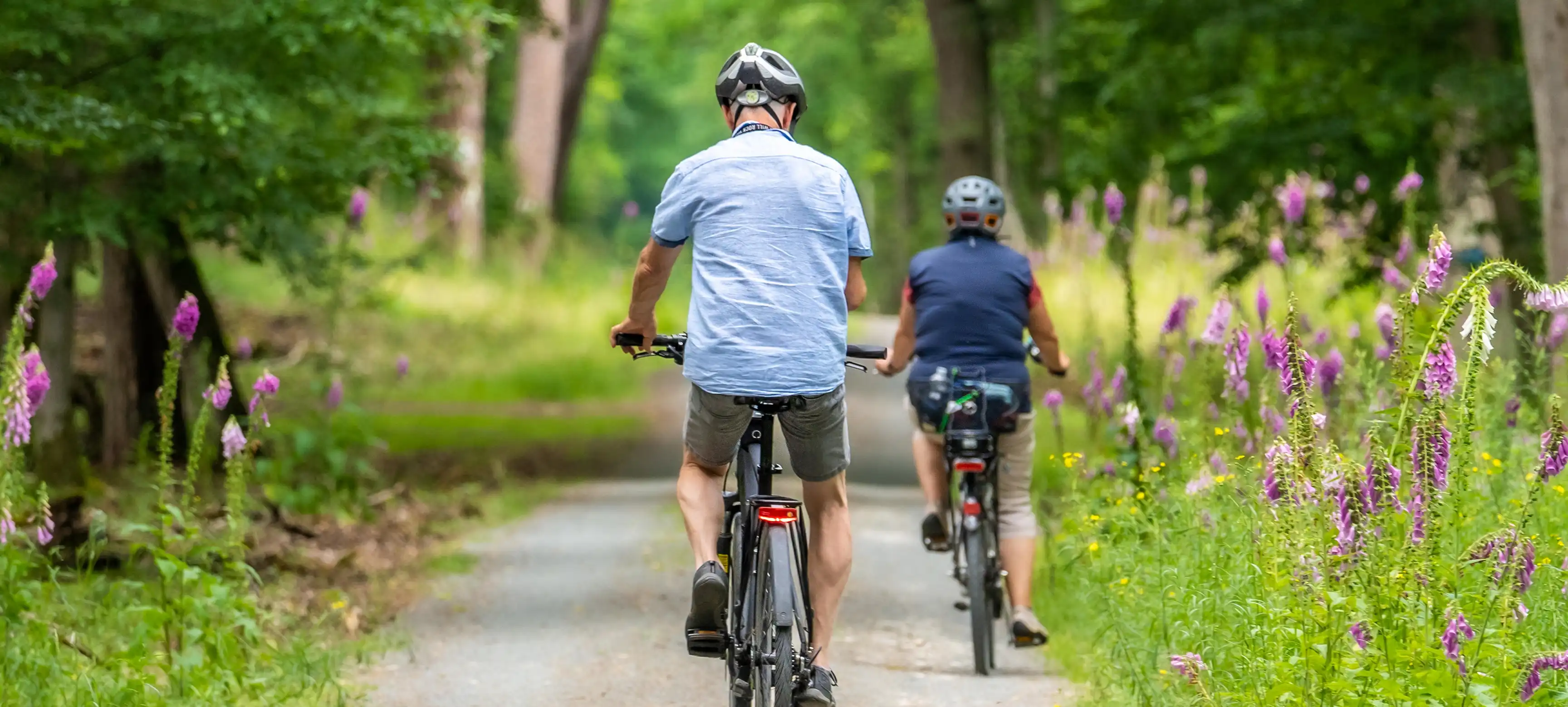 D.R. Horton Freedom South Village features active adult age-restricted living at Nexus in Gallatin Tennessee